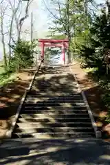 倶知安神社の鳥居