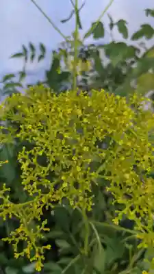 伊勢の国 四天王寺(三重県)