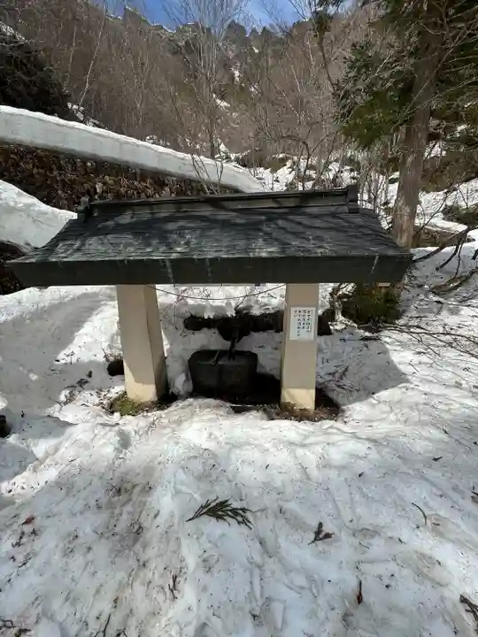 戸隠神社奥社(長野県)
