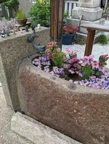 水堂須佐男神社の手水舎
