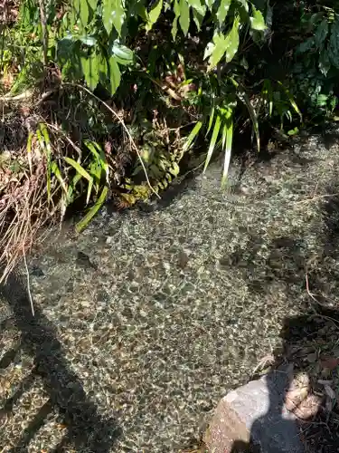 今市瀧尾神社の自然