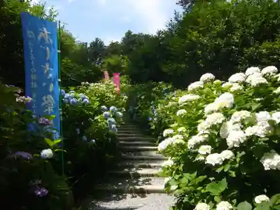鷲子山上神社の自然