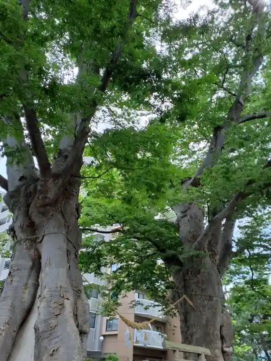 熊野神社(山形県)