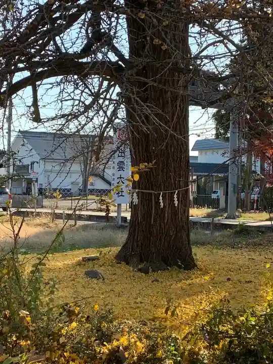 出雲大社会津分霊社の自然