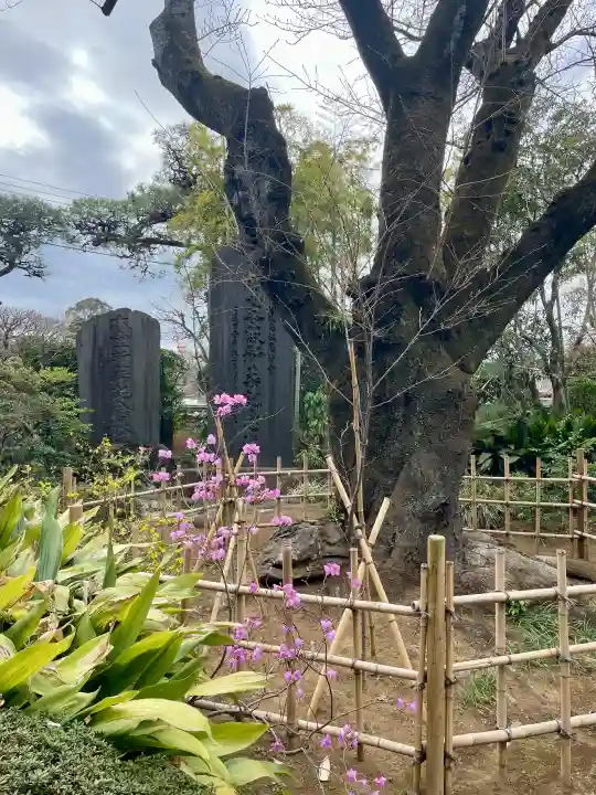 法真寺の{uncategorized: "未分類", other: "その他", undefined: "問題あり", building: "その他建物", grave: "お墓", sacred_gate: "鳥居", guardian: "狛犬", statue: "像", buddha: "仏像", history: "歴史", nature: "自然", garden: "庭園", animal: "動物", pagoda: "塔", temizu: "手水舎", mountain_gate: "山門・神門", sanctuary: "本殿・本堂", subordinate: "末社・摂社", art: "芸術", scenery: "景色", jizo: "地蔵", ema: "絵馬", goshuin: "御朱印", omikuji: "おみくじ", items: "授与品その他", amulet: "お守り", goshuincho: "御朱印帳", eats: "食事", festival: "お祭り", votive_dance: "神楽", shichigosan: "七五三参", wedding: "結婚式", experience: "体験その他", initially: "初詣", around: "周辺", anti_infection: "感染症対策"}