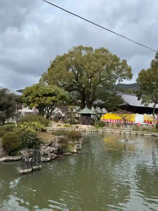 太宰府天満宮(福岡県)