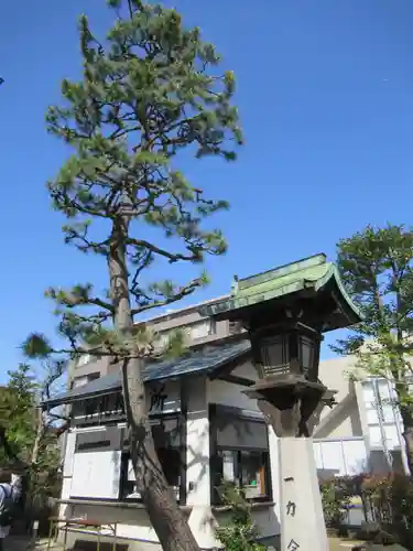 桜神宮(東京都)
