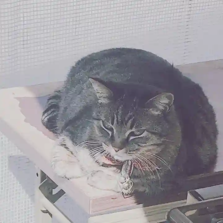 前玉神社の動物