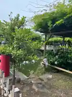 亀戸天神社(東京都)