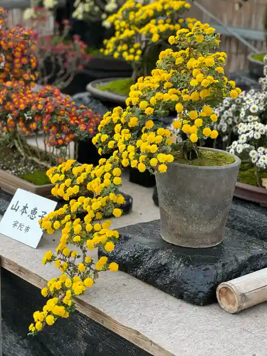 橿原神宮(奈良県)