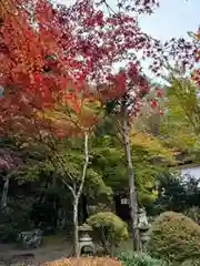 日枝神社(岐阜県)