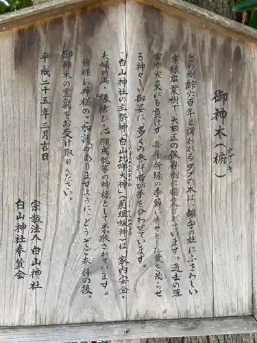 嶺白山神社の歴史