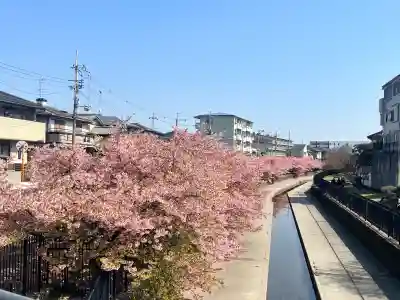 木津釈迦堂の{uncategorized: "未分類", other: "その他", undefined: "問題あり", building: "その他建物", grave: "お墓", sacred_gate: "鳥居", guardian: "狛犬", statue: "像", buddha: "仏像", history: "歴史", nature: "自然", garden: "庭園", animal: "動物", pagoda: "塔", temizu: "手水舎", mountain_gate: "山門・神門", sanctuary: "本殿・本堂", subordinate: "末社・摂社", art: "芸術", scenery: "景色", jizo: "地蔵", ema: "絵馬", goshuin: "御朱印", omikuji: "おみくじ", items: "授与品その他", amulet: "お守り", goshuincho: "御朱印帳", eats: "食事", festival: "お祭り", votive_dance: "神楽", shichigosan: "七五三参", wedding: "結婚式", experience: "体験その他", initially: "初詣", around: "周辺", anti_infection: "感染症対策"}