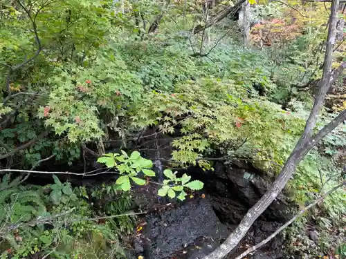 戸隠神社九頭龍社(長野県)
