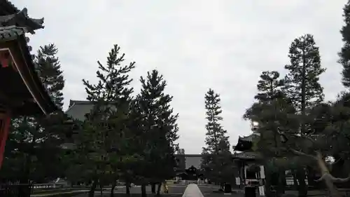 妙心寺（妙心禅寺）のその他建物