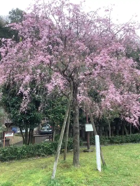 橿森神社(岐阜県)
