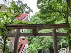 東郷神社の鳥居