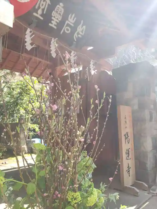 陽運寺(東京都)