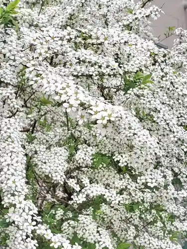 阿邪訶根神社(福島県)