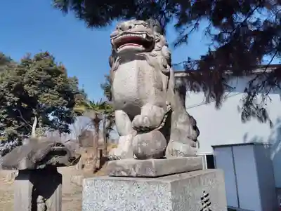 白山神社の狛犬