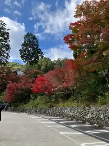 善峯寺(京都府)