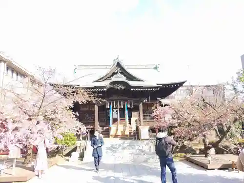 桜神宮の本殿・本堂