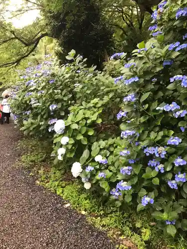 高幡不動尊　金剛寺(東京都)