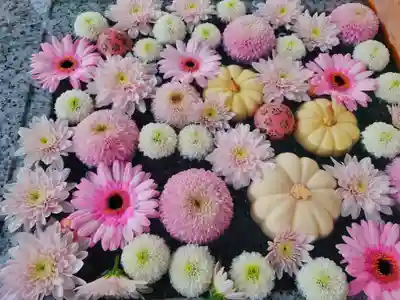 川越八幡宮(埼玉県)