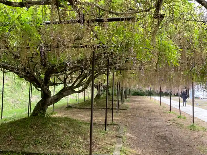 天台宗 五大山 白毫寺(兵庫県)
