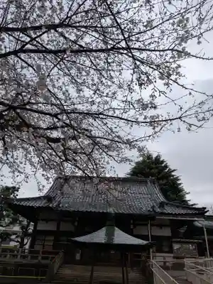 新井薬師(梅照院)(東京都)