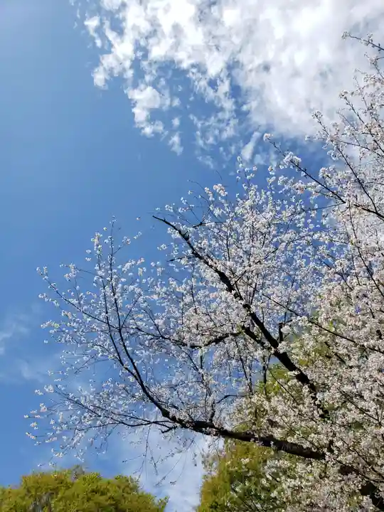 月窓寺(東京都)