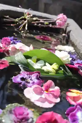元町厳島神社(神奈川県)