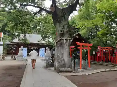 新田神社(東京都)
