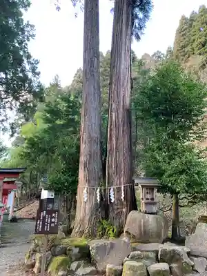 八幡神社(兵庫県)