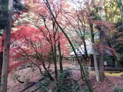 鶏足寺(滋賀県)