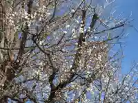 天満天神社(神奈川県)