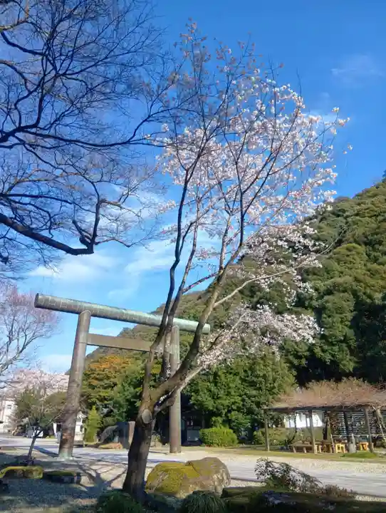 岐阜護國神社(岐阜県)