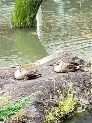東郷神社(東京都)