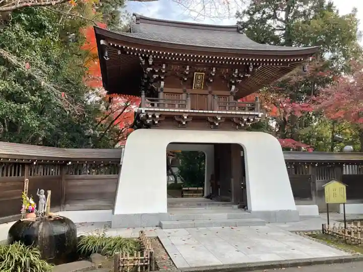 大正寺の山門・神門