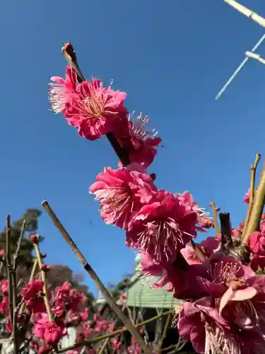 妙法寺(神奈川県)