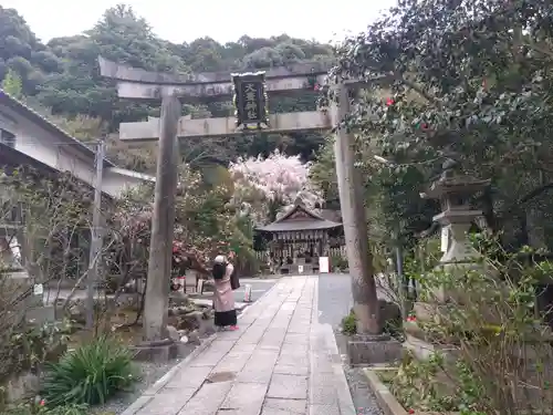 大豊神社の鳥居