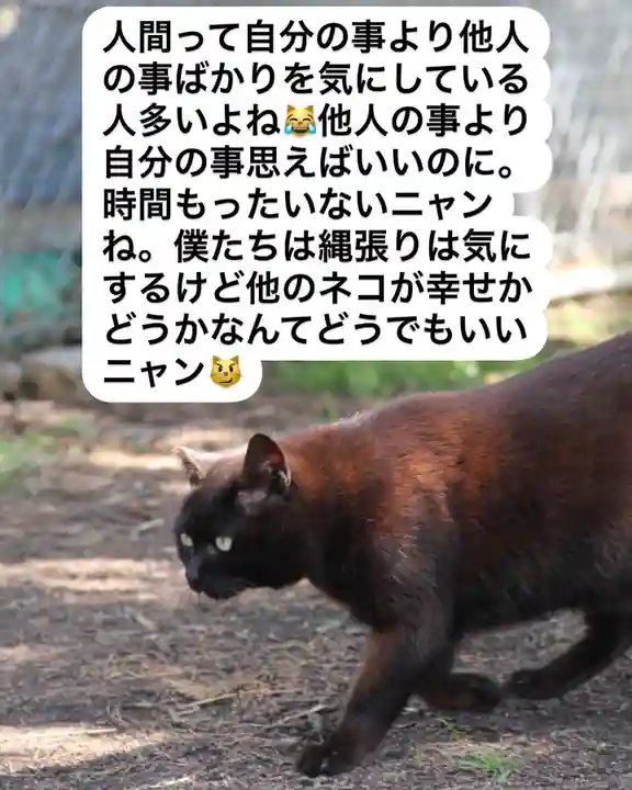 専念寺(大阪府)