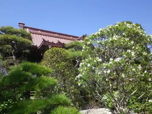 大巧寺の景色