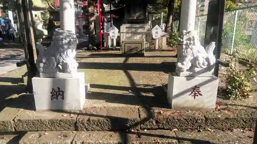 （芝生）浅間神社の狛犬