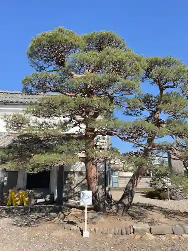 上田大神宮(長野県)