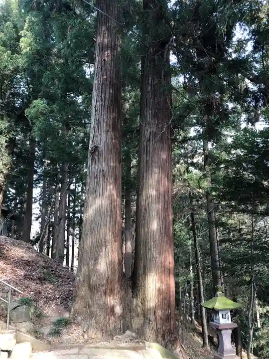御瀧神社の自然