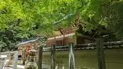 狸谷山不動院(京都府)