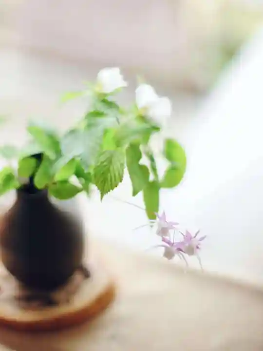 浄土寺(兵庫県)