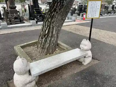 妙音院(宮城県)