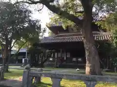 聖福寺の建物その他